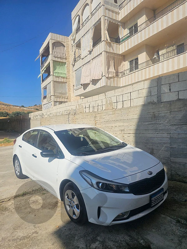cars for rent