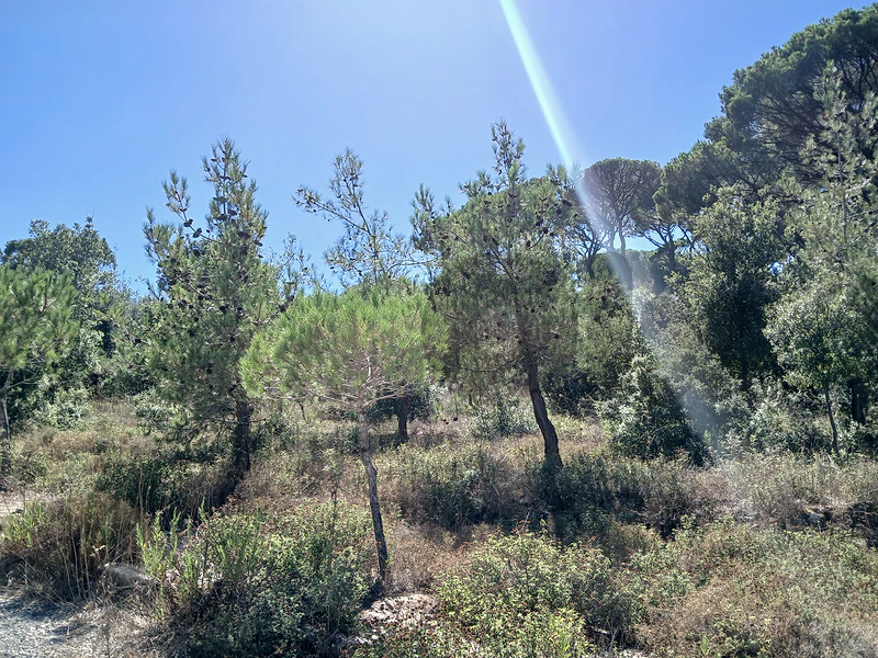 Land for Sale – Ras El Maten