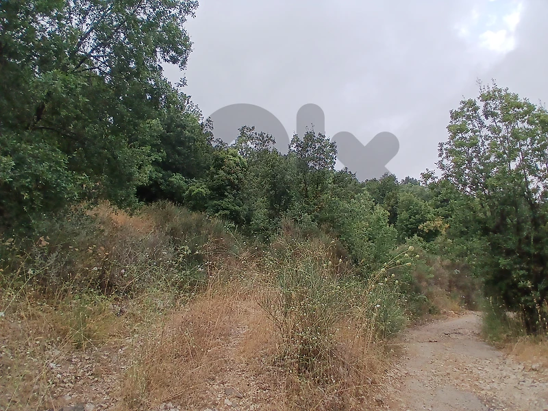 Land for Sale – Ain El Tefehha أرض للبيع – عين التفاحة