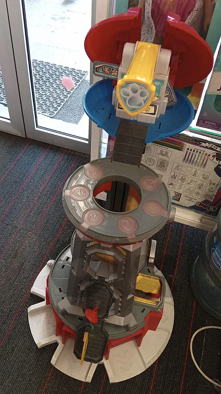 paw patrol care race