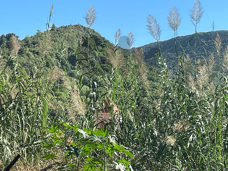 RARE LAND FOR SALE – HERHRAYA EL KATTINE 🏔️