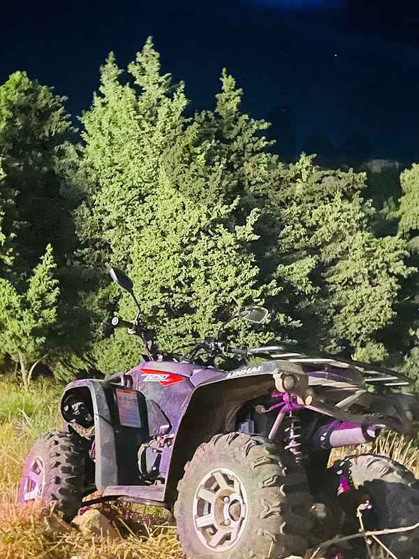 250cc