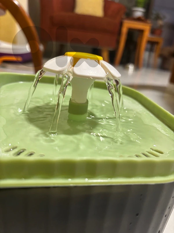 fountain water for cats