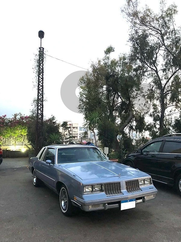 Other make Other 1984  Oldsmobile Cutlas Brougham Supreme