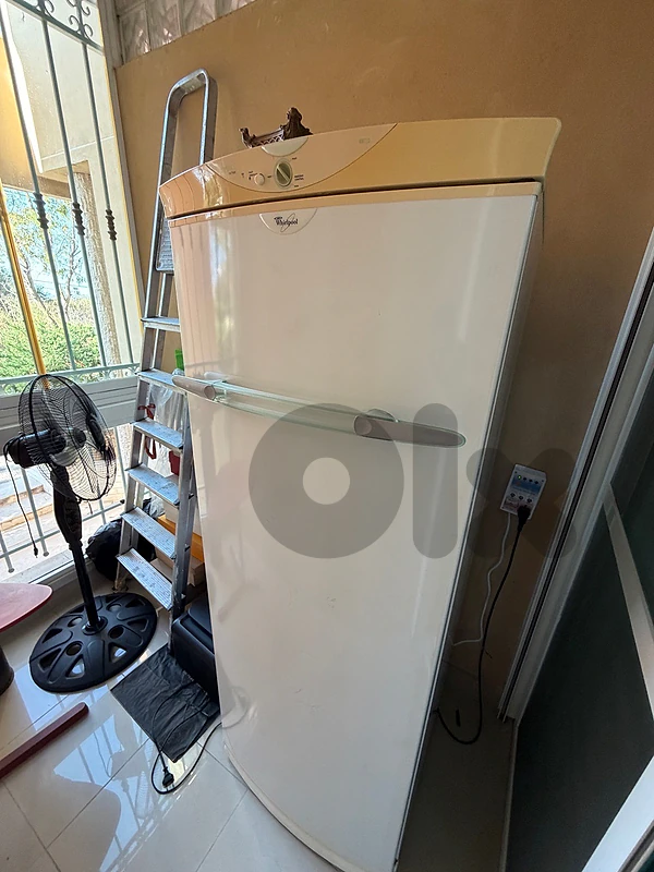 Freezer Freezer