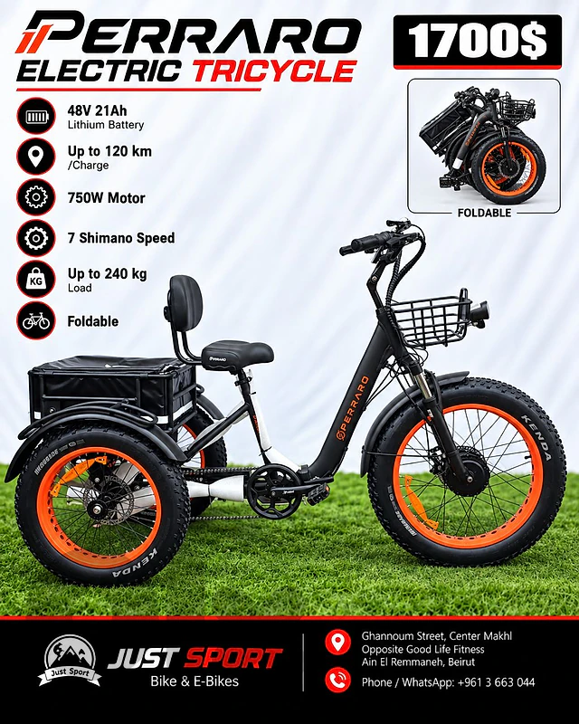 perraro Panda tricycle E Bike