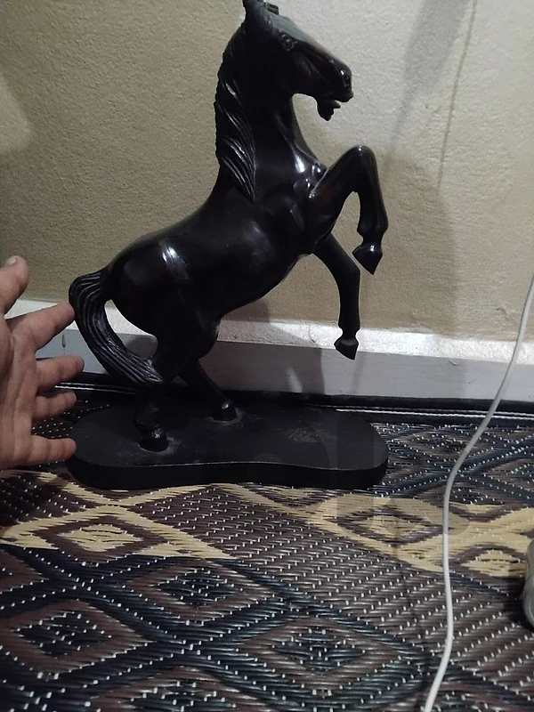 حصان رزين واكسسوارات