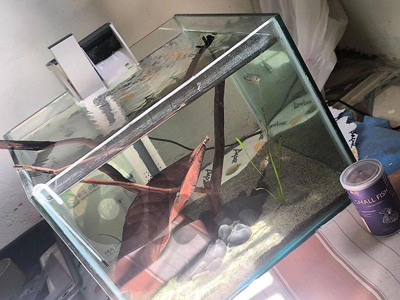 complete aquarium for sale اكورايوم مع كل غراضو