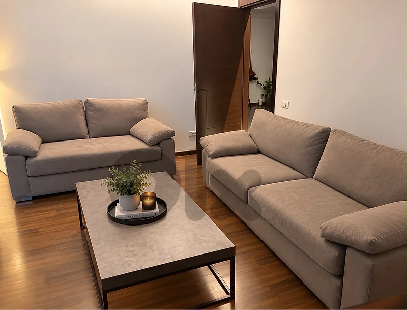 sofas and table
