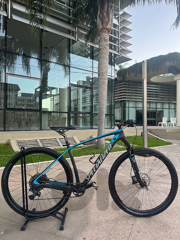 specialized 29 carbon