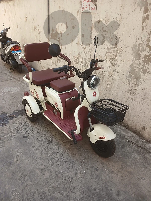 Boji motor
