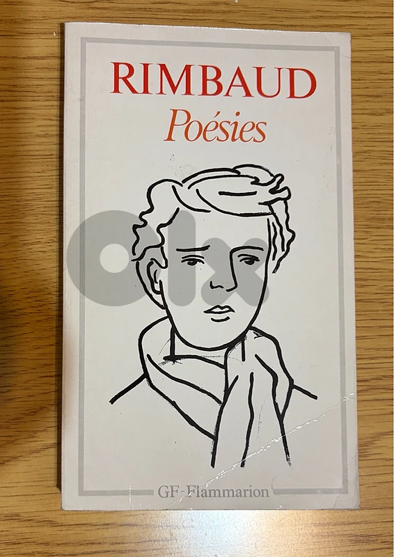 Rimbaud poésies