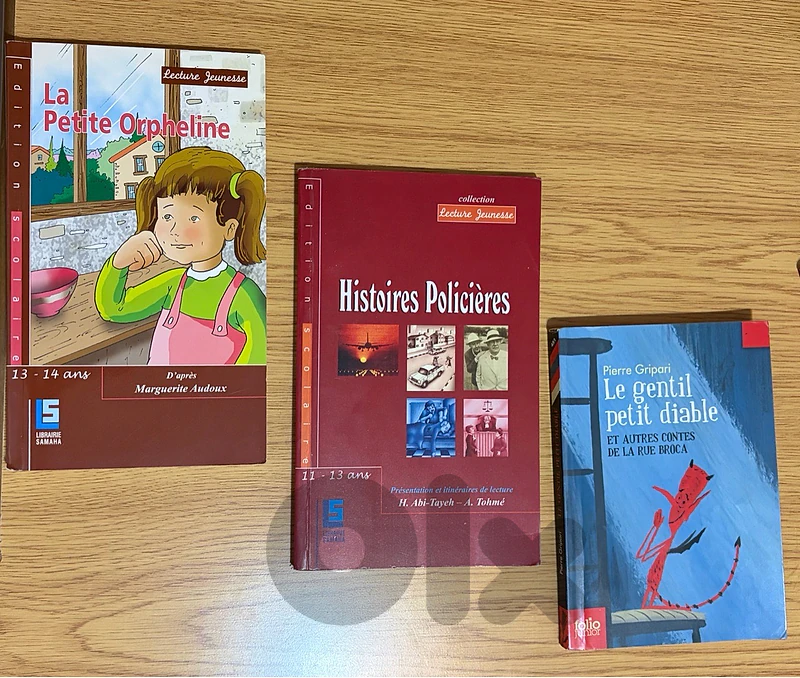 French Youth Books / Romans Jeunesse