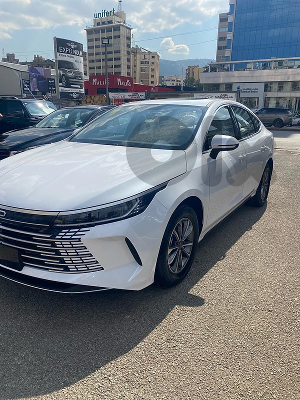 BYD Other 2026 Destroyer
