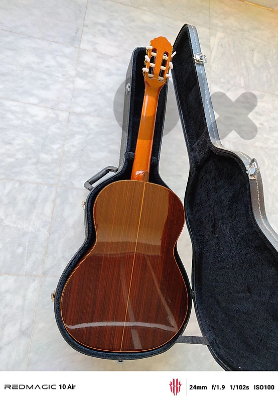 Guitar with a protective hard case