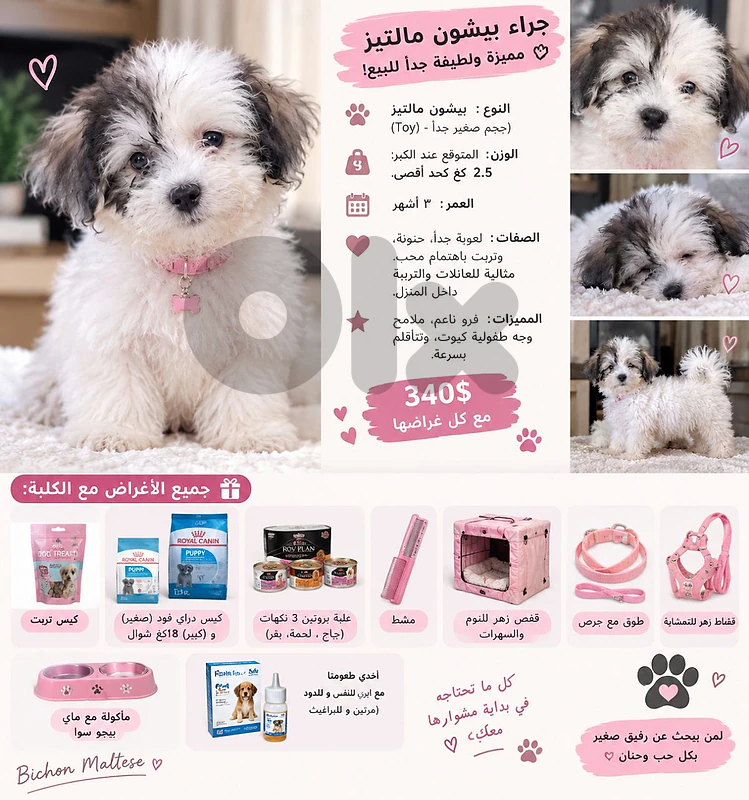 female dog names panda 3months