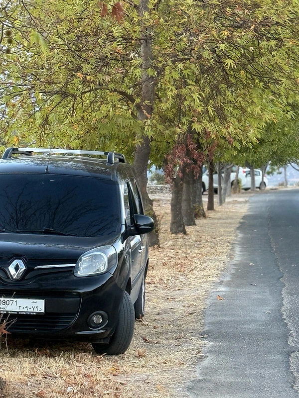 Renault Kangoo 2017