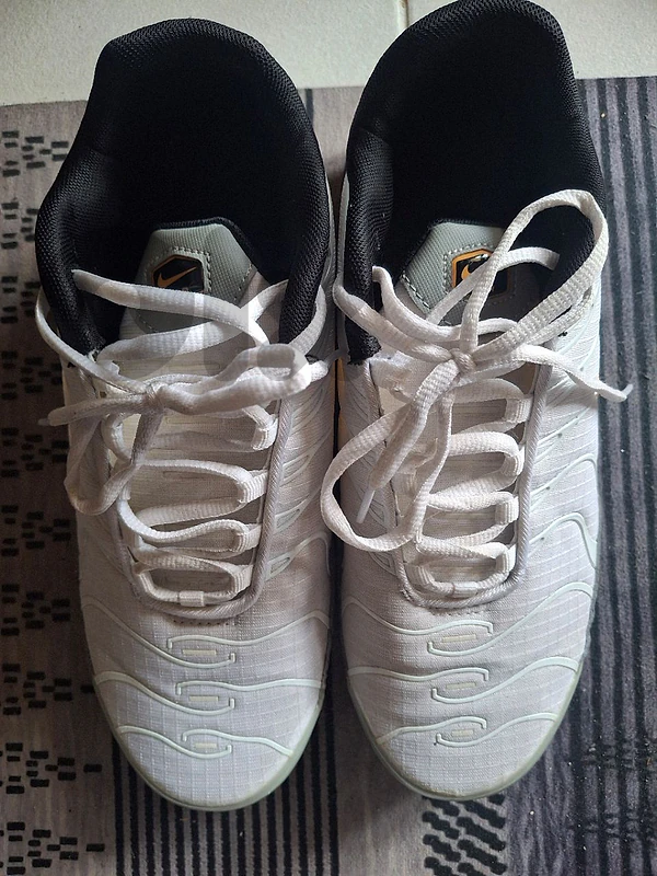 nike air max tn (size is 43)