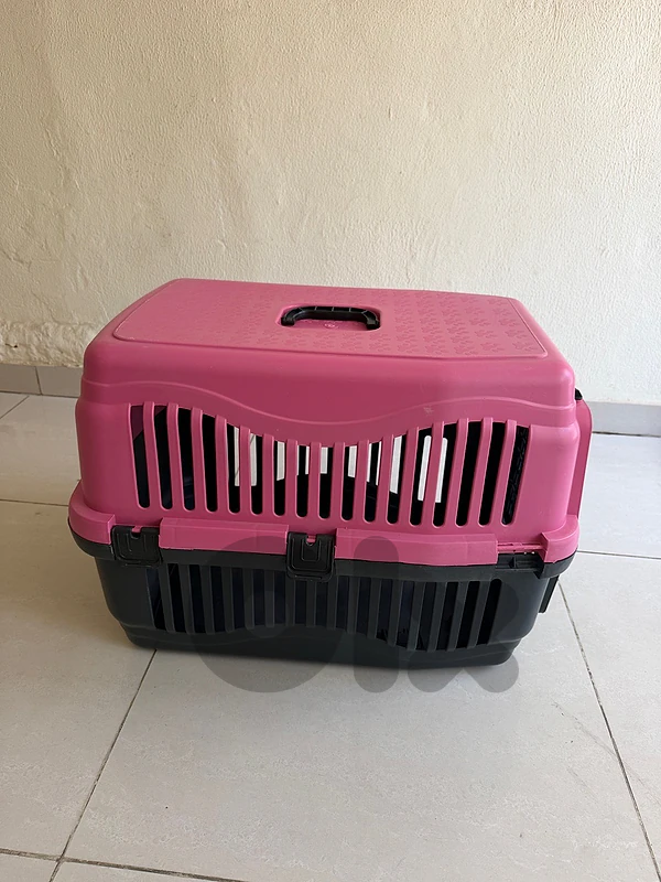 cat box