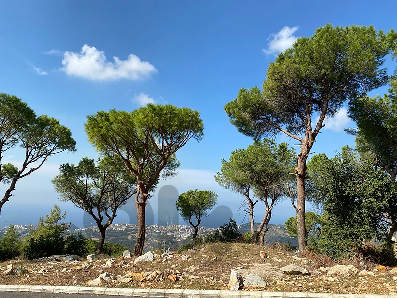 Plots for Sale in Hbous / Mazraat Yachouh