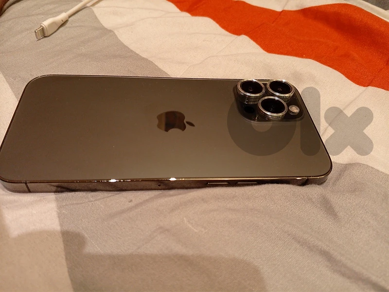 13 Pro Max