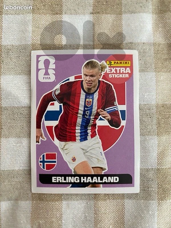 Haaland 2026 world cup Panini Extra Sticker great condition