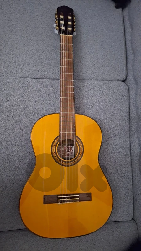 Classic Guitar (Oscar Schmidt)