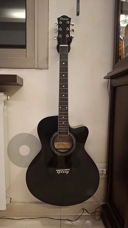 Acoustic Guitar