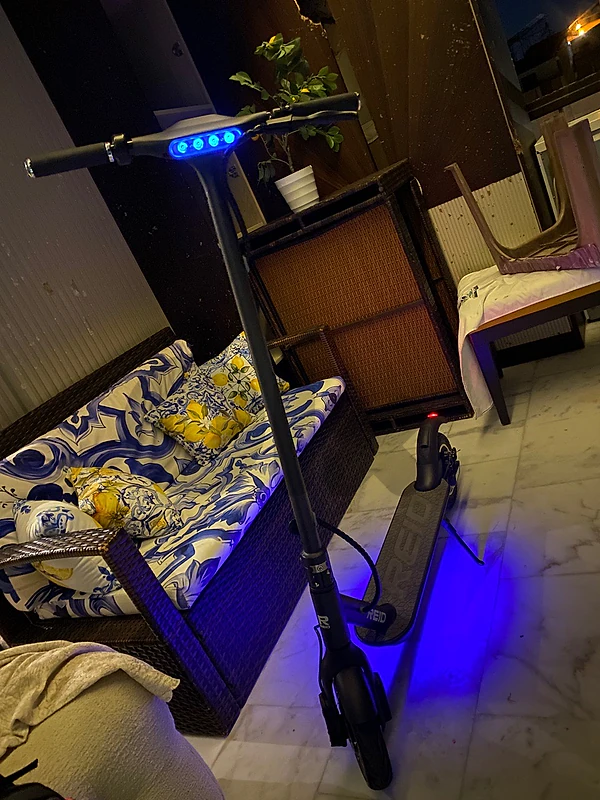 reid electric scooter