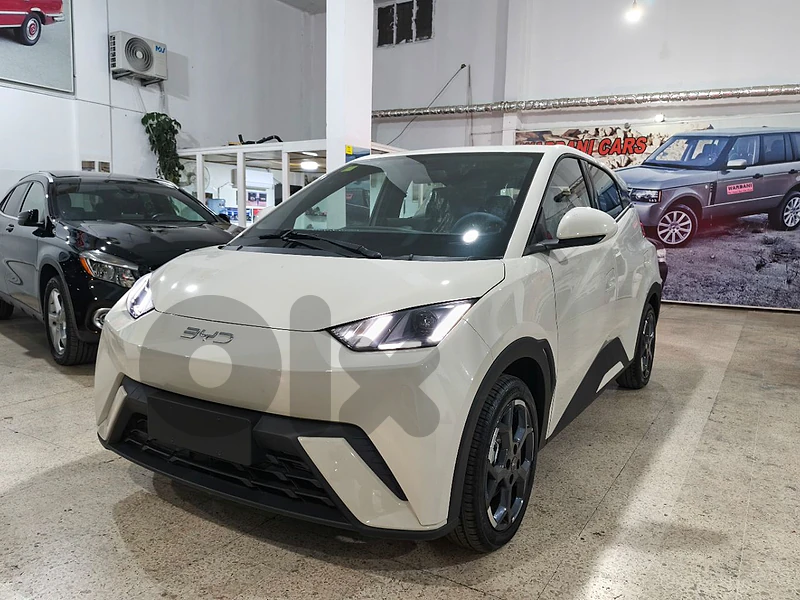 2025 BYD SEAGULL (FLYING EDITION)