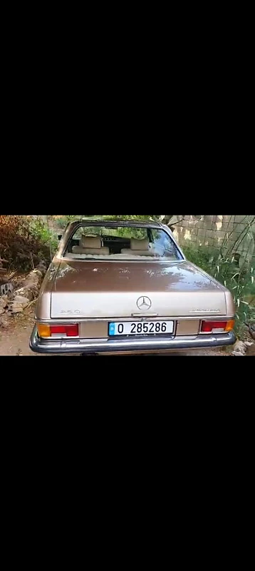 ببروت ببروت