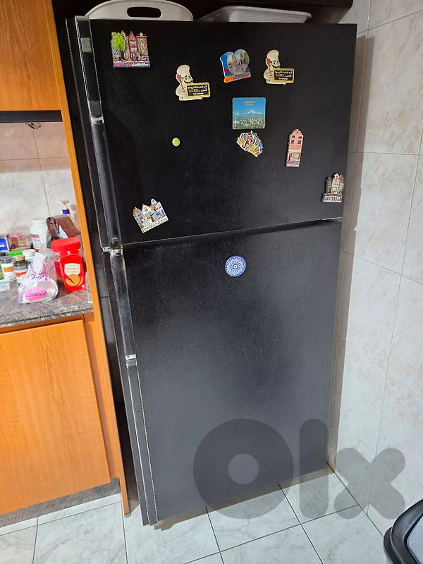 general electric fridge