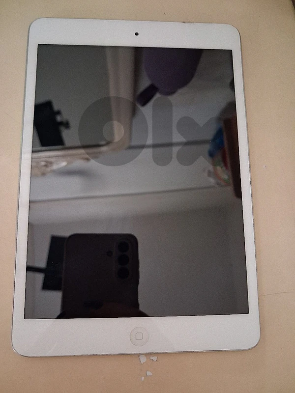 Apple iPad mini