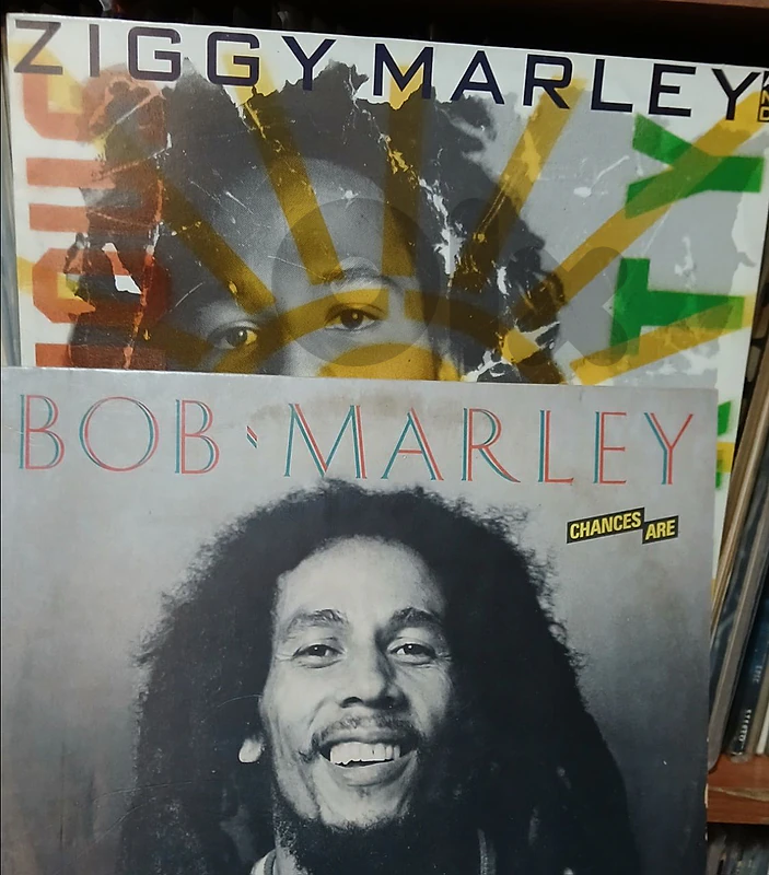 bob marley  - ziggy marley  - vinyl