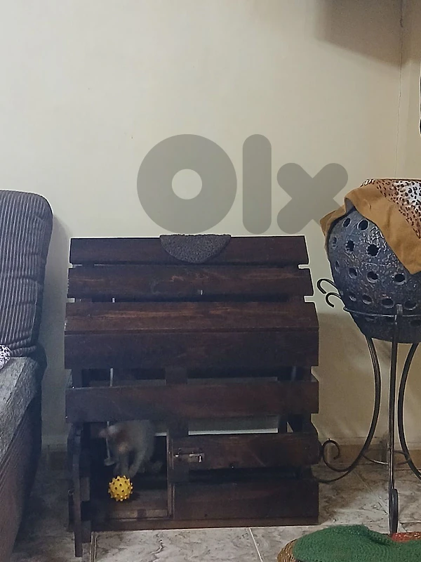 pet's  home
