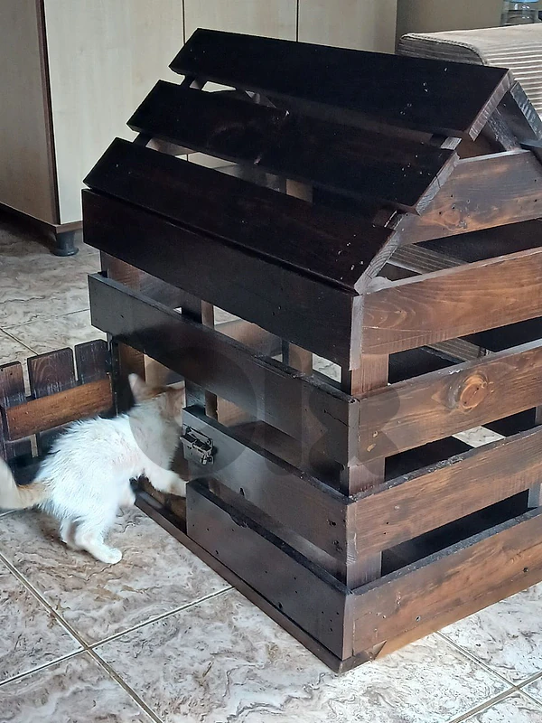 pet's  home