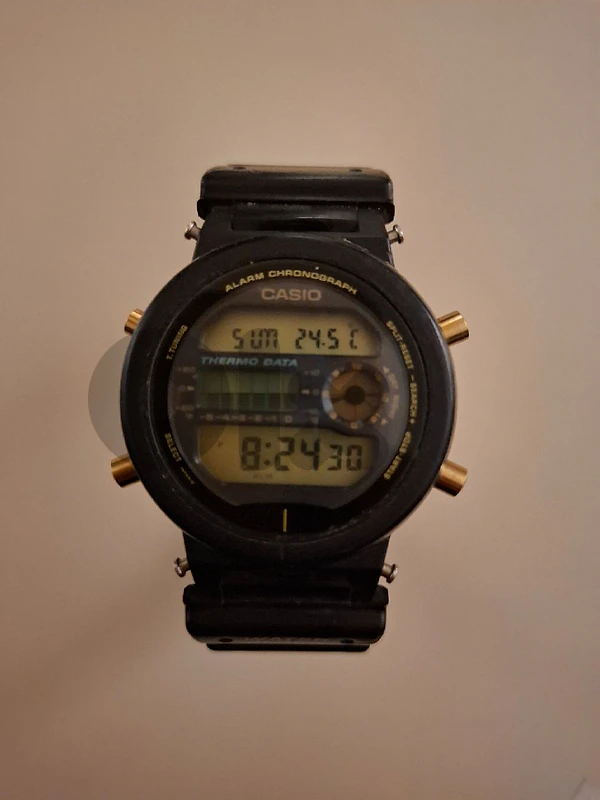 Vintage Casio DW-6100
