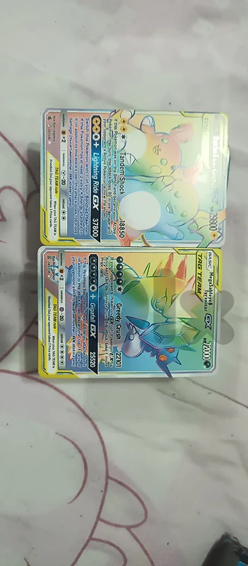 Raichu & AlolanRaichu/MegaSableye&Tyranitar