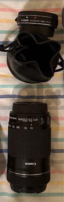 Canon EF-S 55-250 IS STM lens. accessories