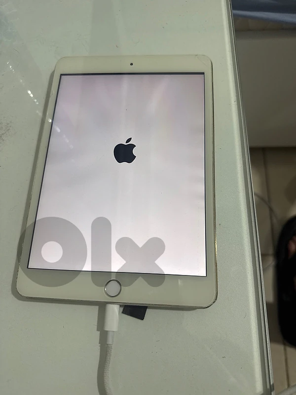Ipad mini 3