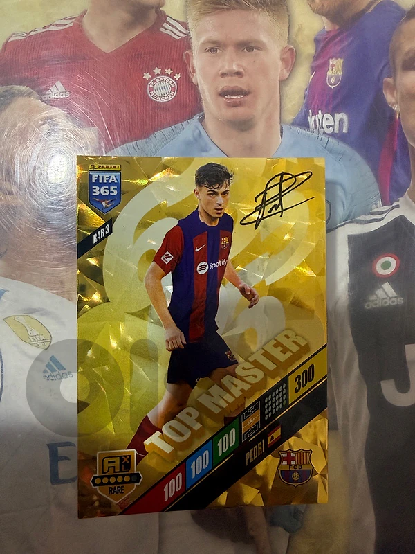 panini