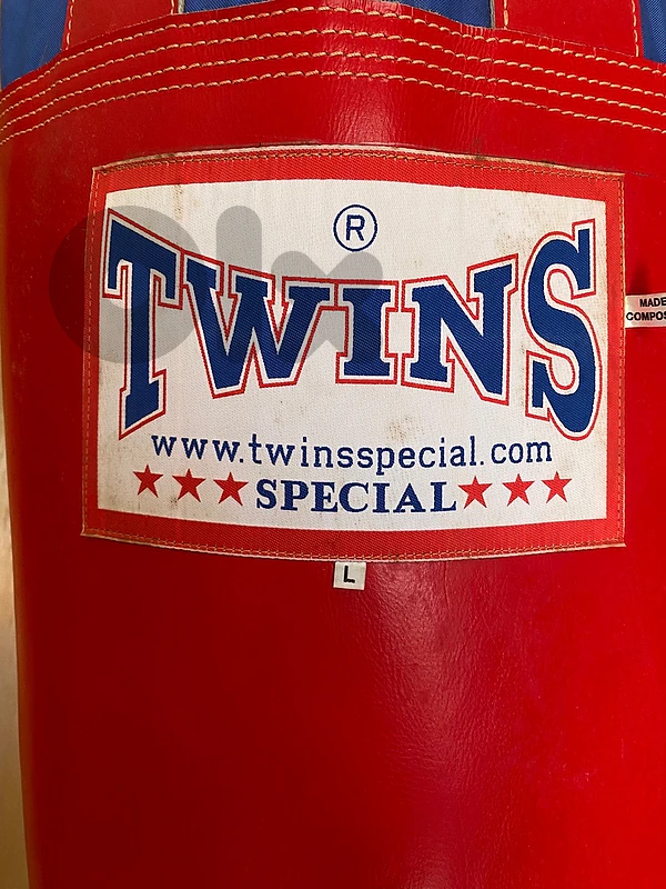 TWINS Special Heavy Boxing Bag – Premium Quality