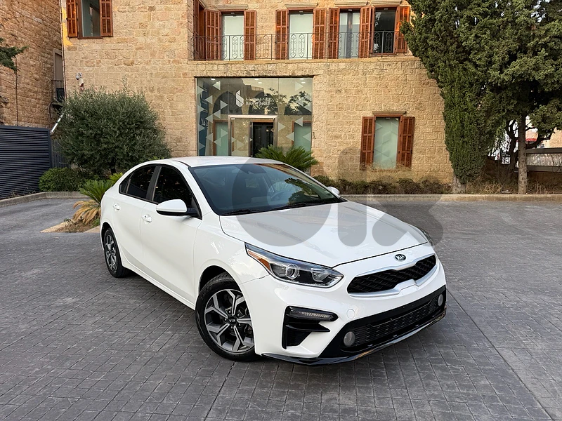 Kia Forte 2019 LXS Clean Carfax !! Factory Paint , Like New