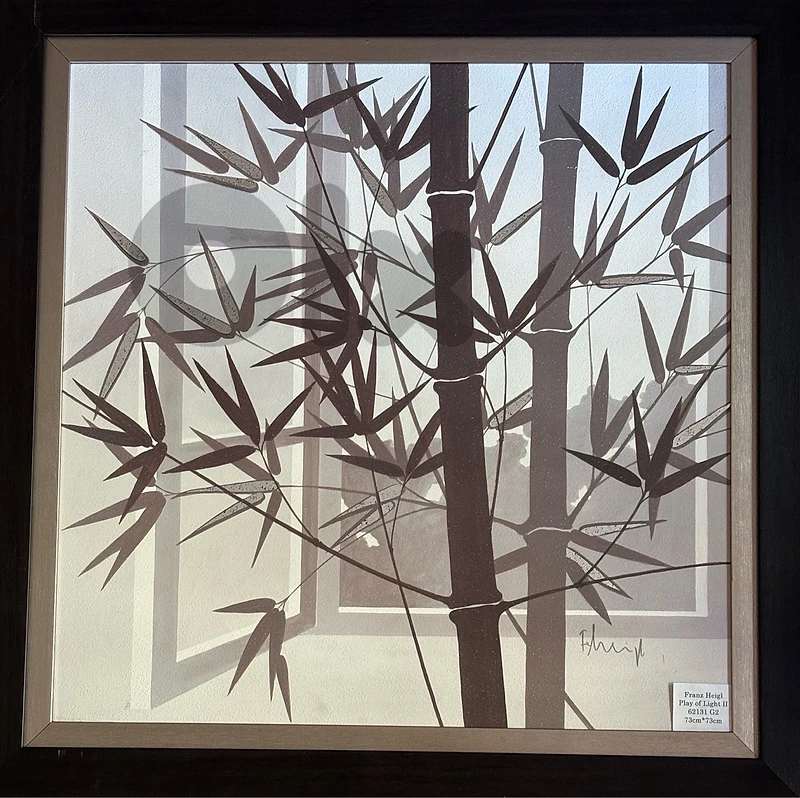 The Play of Light II -Franz Heigl