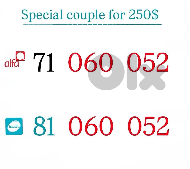 couple Numbers Alfa and mtc we deliver all leb