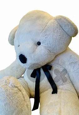 toy gadget teddy bear plush decor gift cushion fashion