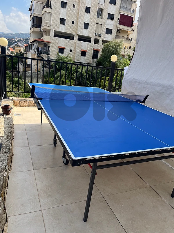 pingpong table