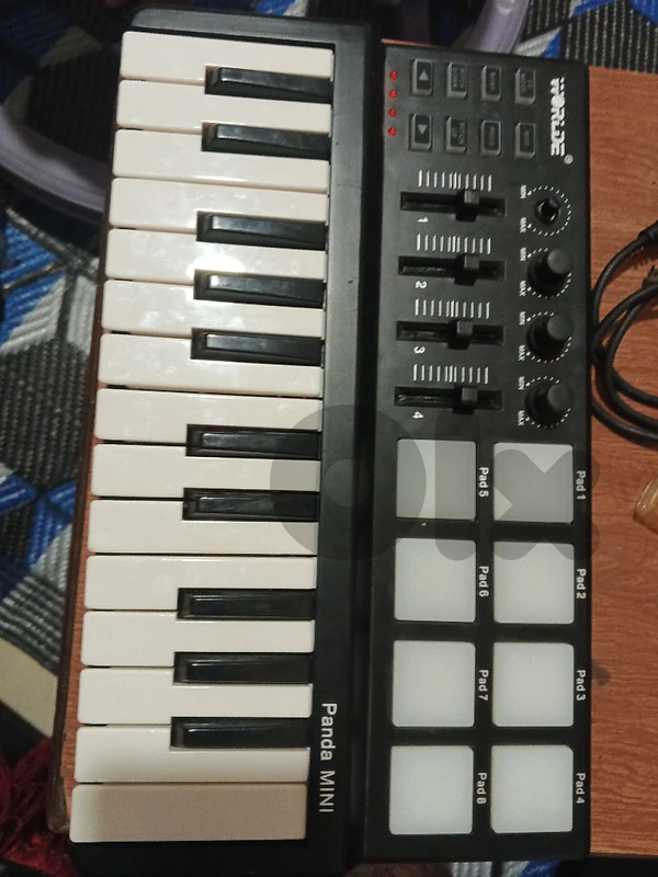 WORLDE Panda MINI MIDI Keyboard Controller – 25 Keys + 8 Pads