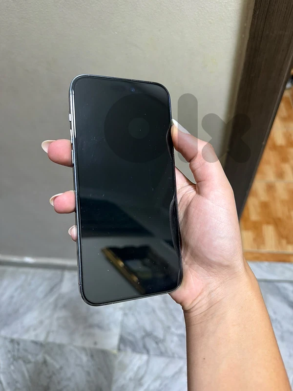 iphone 14 pro max 256 gb