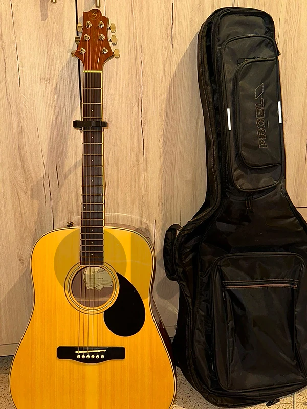 Used acoustic guitar (great condition)